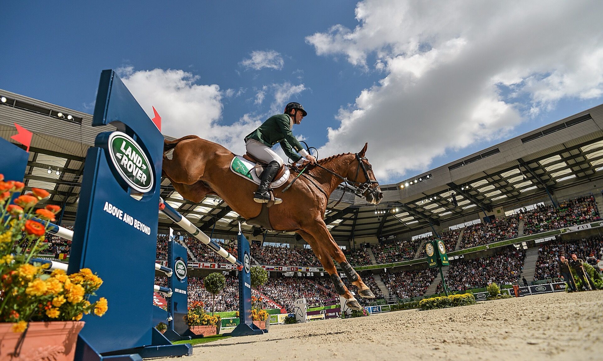 Horse riding and stabling facilities near Strangford View Mews in County Down Northern Ireland